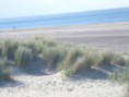 /album/fotogalerij-weekend-renesse/cimg4896-jpg/